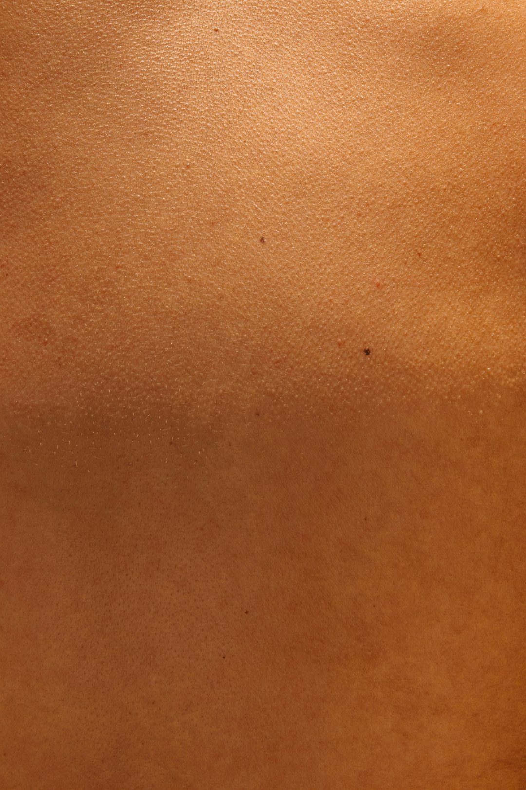 CS2 Skin Market Trends